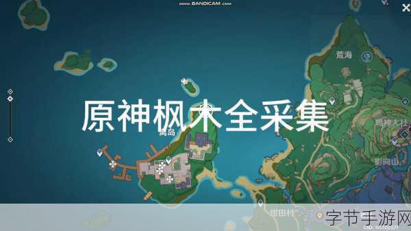 原神垂香木采集全攻略,高效获取秘籍大公开