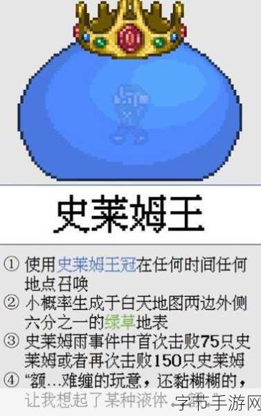 泰拉瑞亚，揭秘召唤九个随从的终极攻略