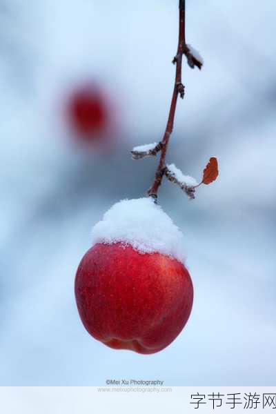 红雪iphone-探索红雪iPhone：带你领略冬季摄影的魅力与技巧