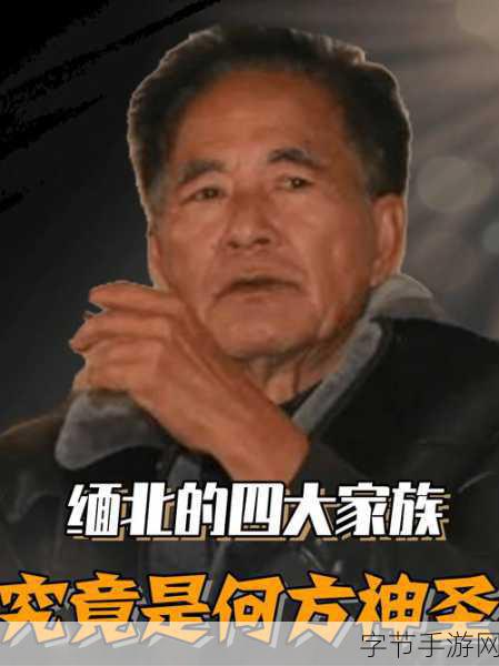 缅北北部血腥2023黑网-缅北地区2023年暴力冲突升级:黑网背后的真相与危机