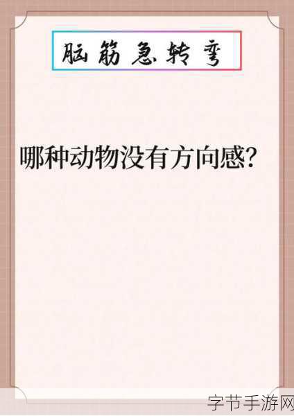 太久回家不迷路-“掌握方向感,轻松回家不再迷路”