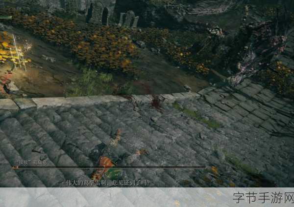探索艾尔登法环，黄金树立誓战灰全解😜