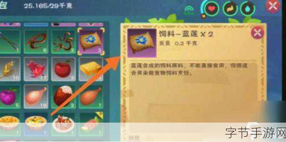 探索创造与魔法，熔火龙饲料之谜🎮