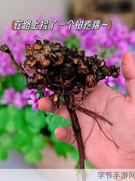 三叶草黄色免费网站-探索三叶草黄色网站的无限可能性与乐趣体验
