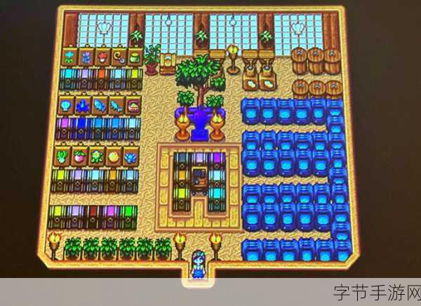 星露谷物语罗宾剧情深度剖析,最新更新下的最优选择策略