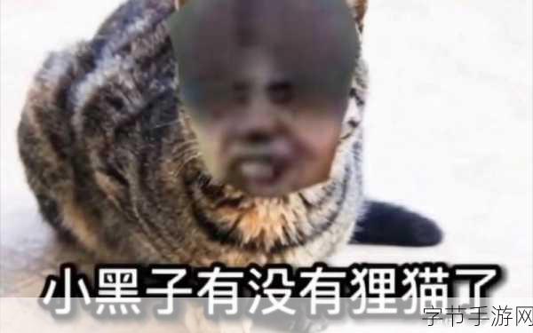 男生将坤坤申请女生的定眼免费观看-男生为坤坤申请女生定眼，免费观看新体验！