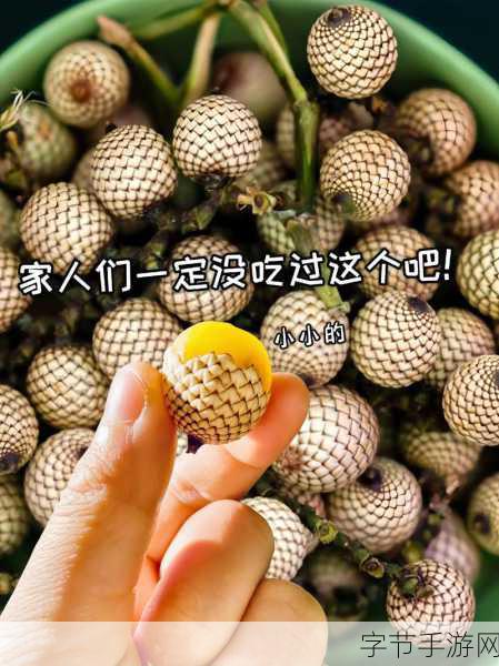 蘑菇爆料吃瓜视频-惊人内幕！蘑菇爆料吃瓜视频揭秘隐藏真相