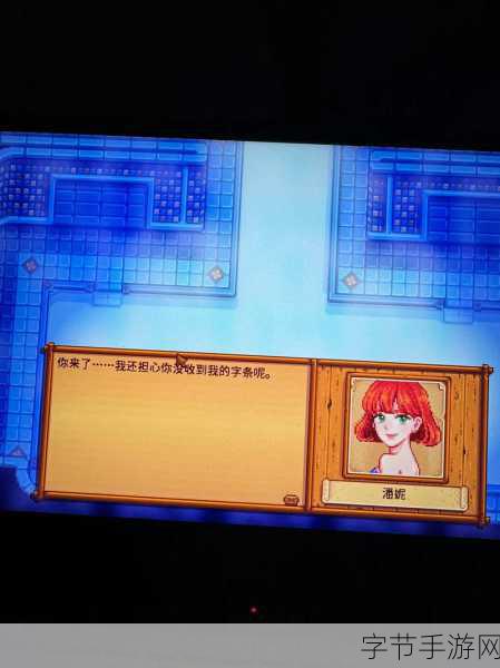 星露谷物语,揭秘潘妮的心头好,打造完美关系秘籍