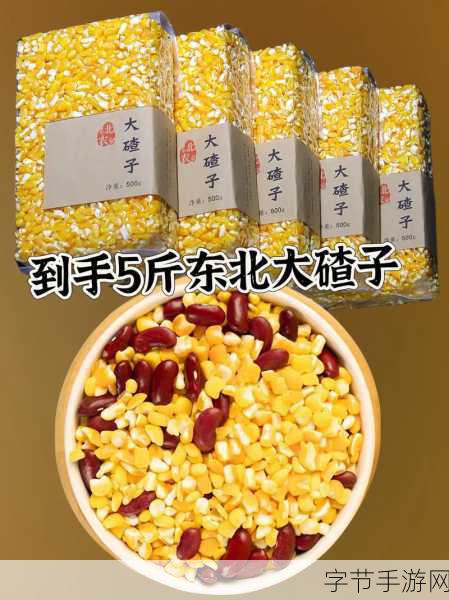 大香煮2023一人一煮-2023年全新概念:一人一煮,尽享美味与健康的拓展大香煮体验