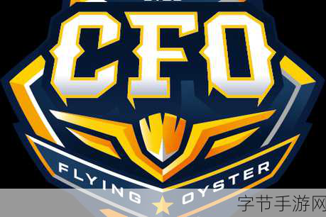 CFO战队-“CFO战队:驱动企业财务智慧与战略发展的先锋团队”