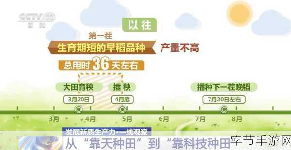 亚洲一线产区二线产-推动亚洲一线产区与二线产业的协同发展新策略