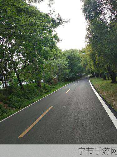 小森生活，解锁自行车秘籍，驰骋绿意盎然的田园风光