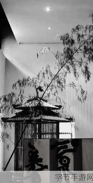 放里面不动的心理感受-在拓展放松中感受内心的宁静与安定