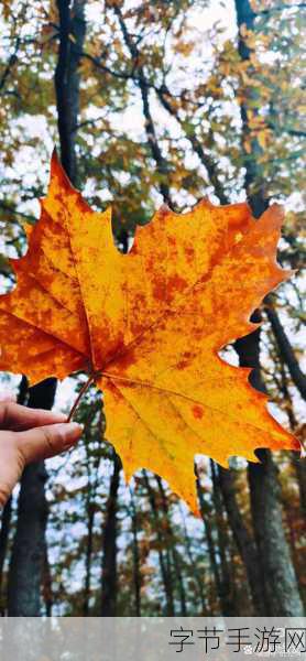 祈祷光环-在光环的庇护下，祈愿幸福与平安常伴