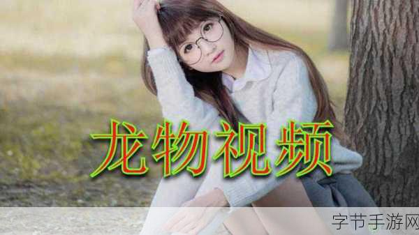 yw193龙物失联-探讨yw193龙物失联事件背后的真相与影响