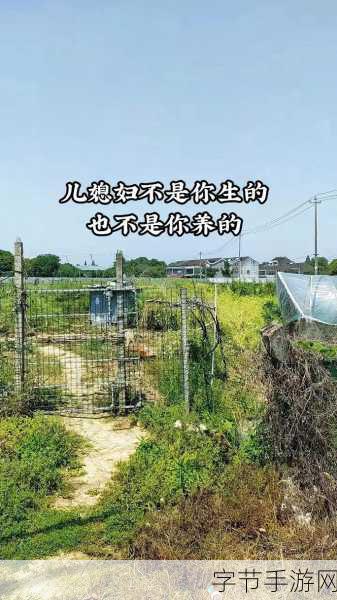 男女嗟嗟疼还往里寒-男女情感纠葛中的无奈与寒冷交织的心声