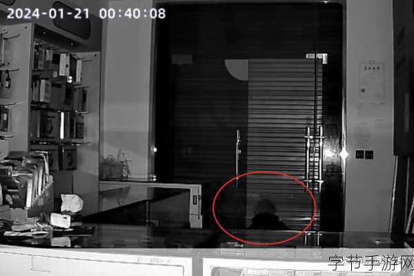 家用监控偷盗400部下载-家用监控助力安全防盗,轻松下载400部精彩视频教程