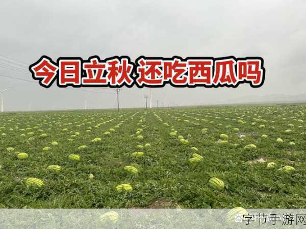 今日热瓜 吃瓜 每日更新-今日热瓜大揭秘:最新娱乐新闻与八卦盘点!