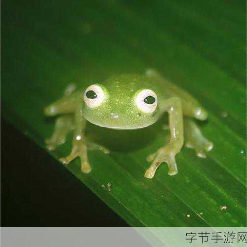 漫蛙防走失站-全面升级漫蛙防走失站,守护您的爱宠安全无忧!