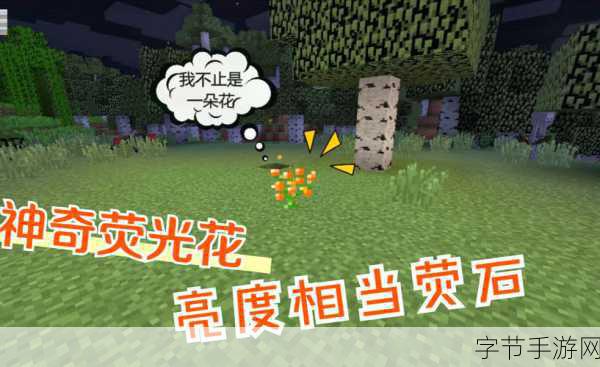 当荧自我奖励被发现：当荧光自我奖励被揭露，真相引发的思考与反省