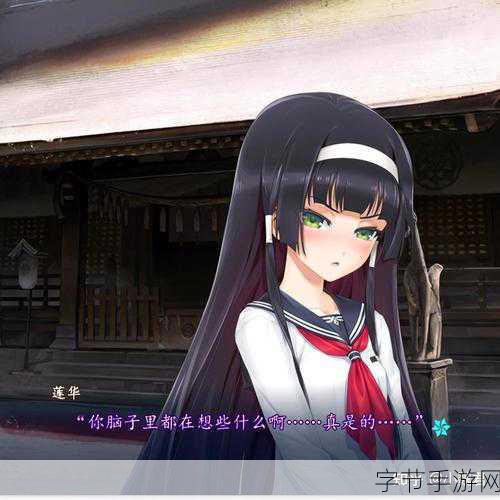 万华镜5安卓汉化直装-全新万华镜5安卓汉化版直装，畅享极致视觉体验