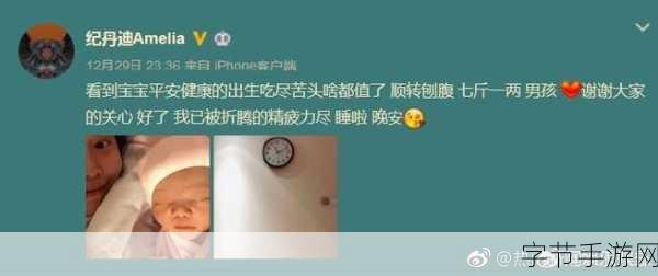 产子岛～每周怀孕生育7次-拓展产子岛：每周孕育新生命的奇幻之旅