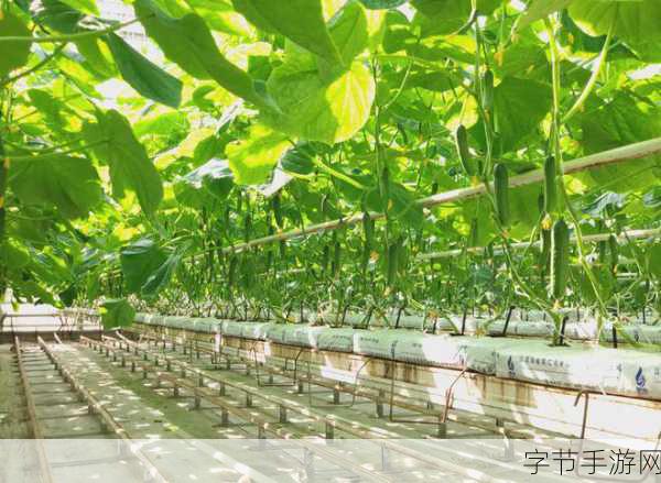 久久久精产国品一产二产三产区-推动经济高质量发展,深化一产二产三产融合创新