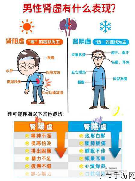 肾虚十八连黑料不打烊-揭示肾虚背后的真相与误解，深入探讨健康之道