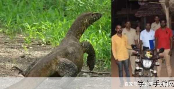 印度蜥蜴被侵害事件-“印度蜥蜴遭受生态威胁，引发保护动物热潮”