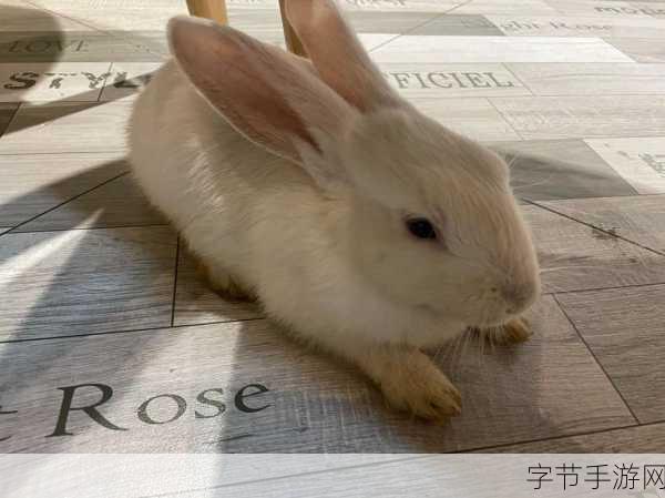 咬小兔兔是站着还是躺着-“咬小兔兔的姿势选择:站着还是躺着更有趣?”