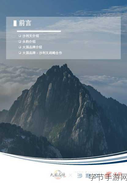 国精产品偷拍一二三四五-拓展国精产品，全面提升品牌竞争力与市场影响力