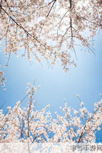 漾出over flower：在绚烂花海中，探索心灵的深邃与美丽