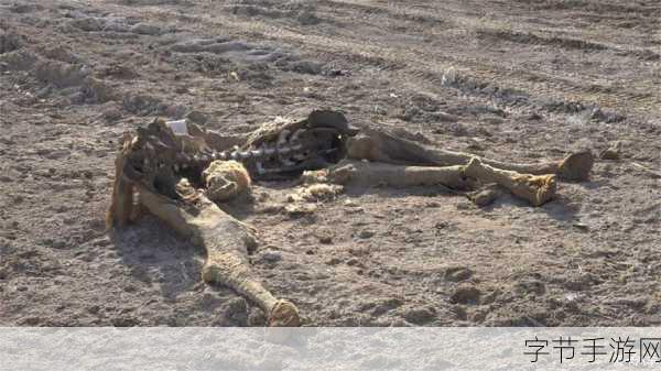 必看无人区一码二码三码-探秘无人区：解密一码、二码、三码的神秘世界