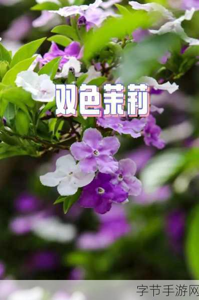 茉莉花园焕新颜，农场消消乐等你来挑战！
