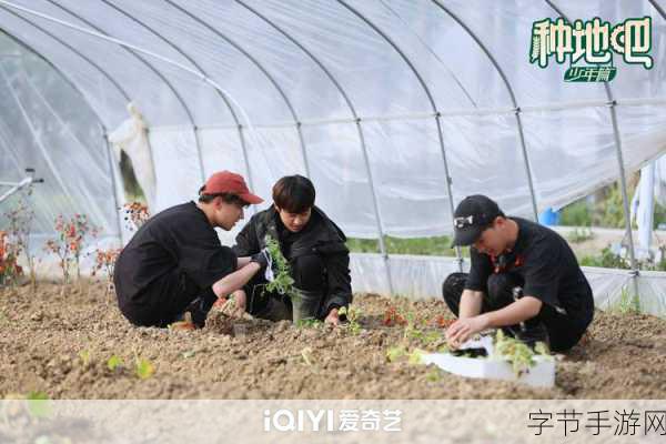 51吃瓜朝阳-朝阳区51吃瓜活动,精彩不断引人围观!