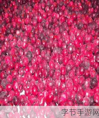 蛛魔几丁质-探讨蛛魔几丁质的生物特性及其应用前景