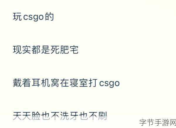 暴躁老姐的csgo心得分享45岁-45岁暴躁老姐的CSGO心得分享:游戏中的坚持与成长