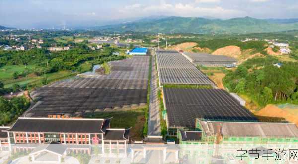 98精产国品一二三产区区-拓展98精产国品，打造一二三产业融合新格局