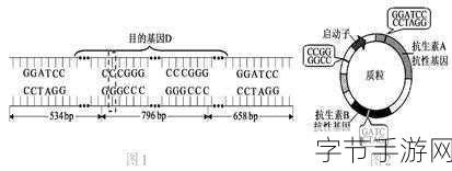 17.ccc-探索17.ccc的多元化应用与未来发展趋势