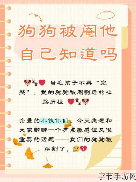 公与淑婷-公与淑婷：携手共创美好未来的情感历程