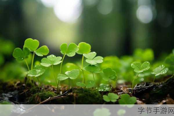 清理花园，解锁你的绿色休闲新乐趣，益智又解压！