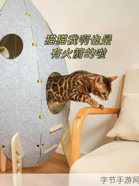 嘭嘭火箭猫，萌趣冒险，闯关新体验等你来探索！