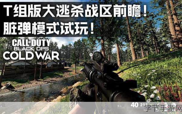 使命召唤战区震撼来袭，多人射击大逃杀新体验！