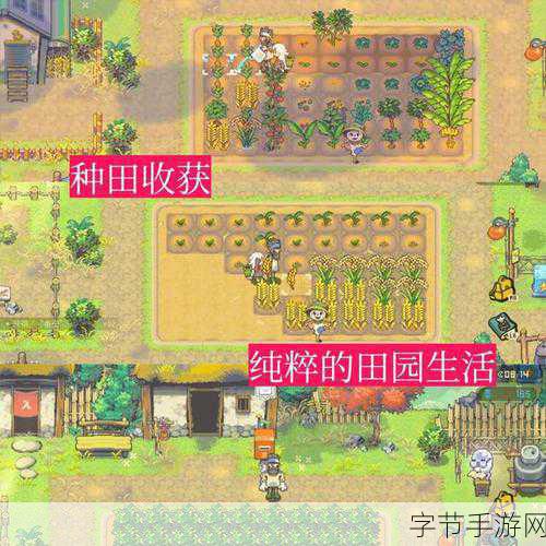 公主的农场故事,像素田园里的梦幻经营之旅