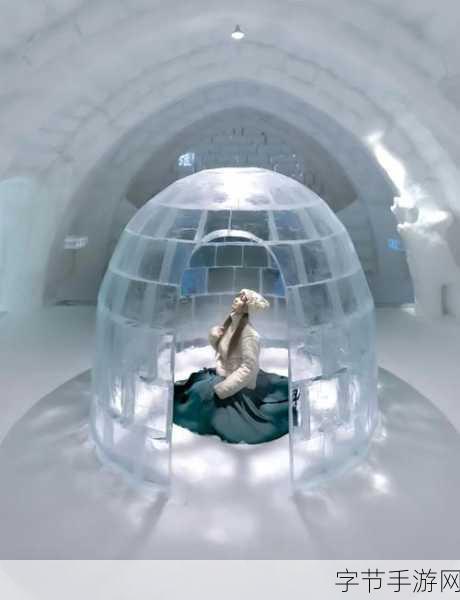 冰雪奇缘再现!探索冰雪村庄——趣味经营模拟新体验