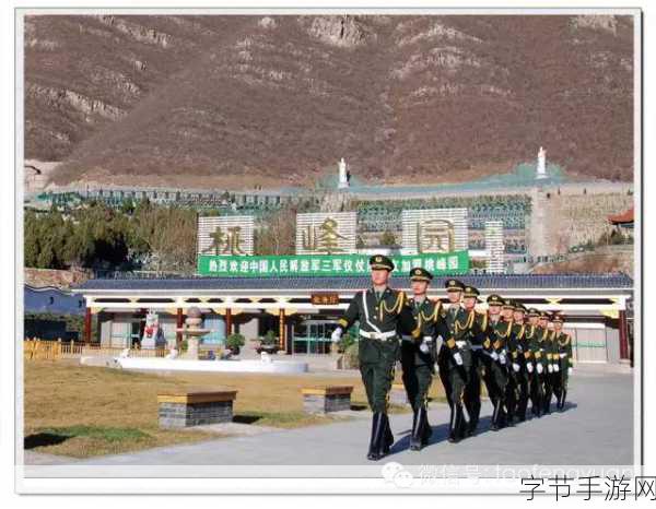 墓地公司,预约开启,探索独特休闲模拟新纪元