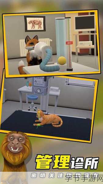 我的小镇宠物医生,打造你的梦幻宠物诊所!