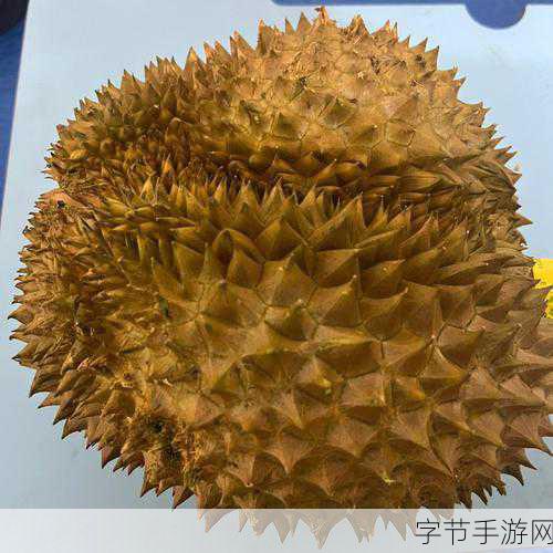 报恩榴莲游戏大热，解锁休闲益智新乐趣，快来下载体验！