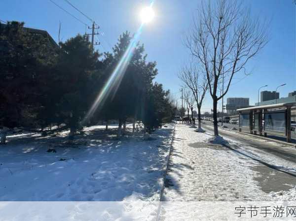 冬日奇遇,探索漫天飘雪的无广告沙盒世界