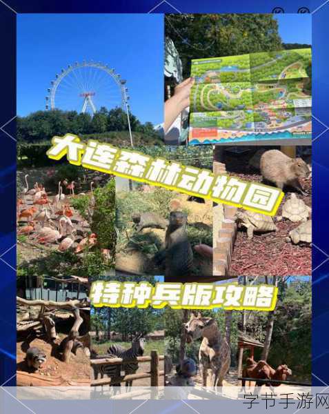 探索奇妙动物森林，开启休闲冒险之旅——游戏下载指南